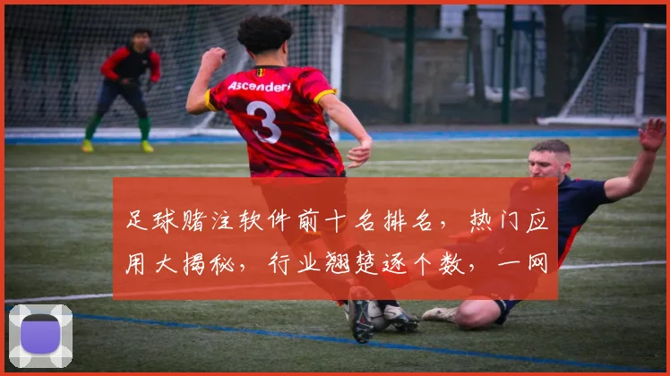 足球赌注软件前十名排名，热门应用大揭秘，行业翘楚逐个数，一网打尽