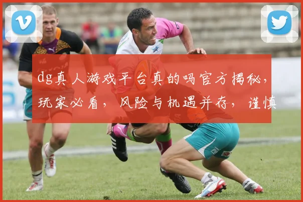 dg真人游戏平台真的吗官方揭秘，玩家必看，风险与机遇并存，谨慎选择，三思而行。