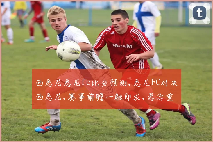 西悉尼悉尼fc比分预测,悉尼FC对决西悉尼,赛事前瞻一触即发,悬念重重