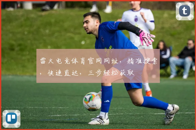 雷火电竞体育官网网址，精准搜索，快速直达，三步轻松获取