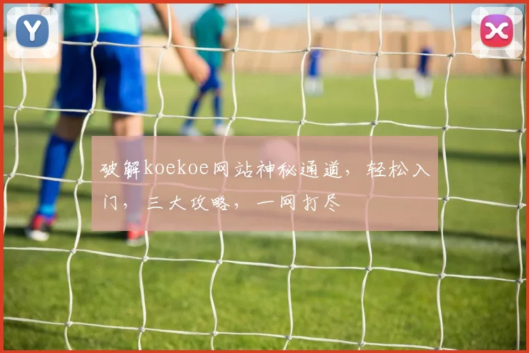 破解koekoe网站神秘通道，轻松入门，三大攻略，一网打尽