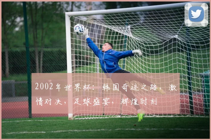 2002年世界杯：韩国奇迹之路，激情对决，足球盛宴，辉煌时刻