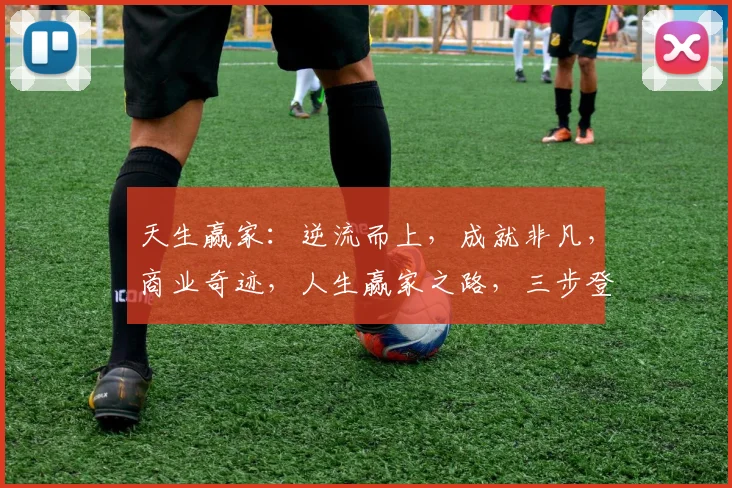 天生赢家：逆流而上，成就非凡，商业奇迹，人生赢家之路，三步登顶